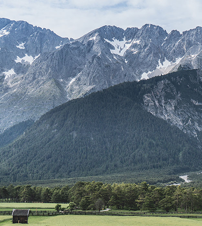 Advanced MRI from head to toe in Austria