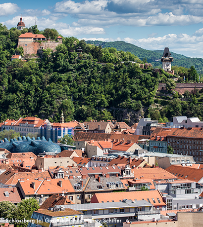 Advanced MRI from head to toe in Graz Austria